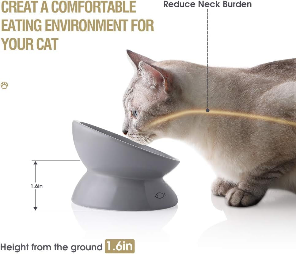 Elevated Ceramic Cat Bowl – Anti-Vomiting | Tilted Design | Grey