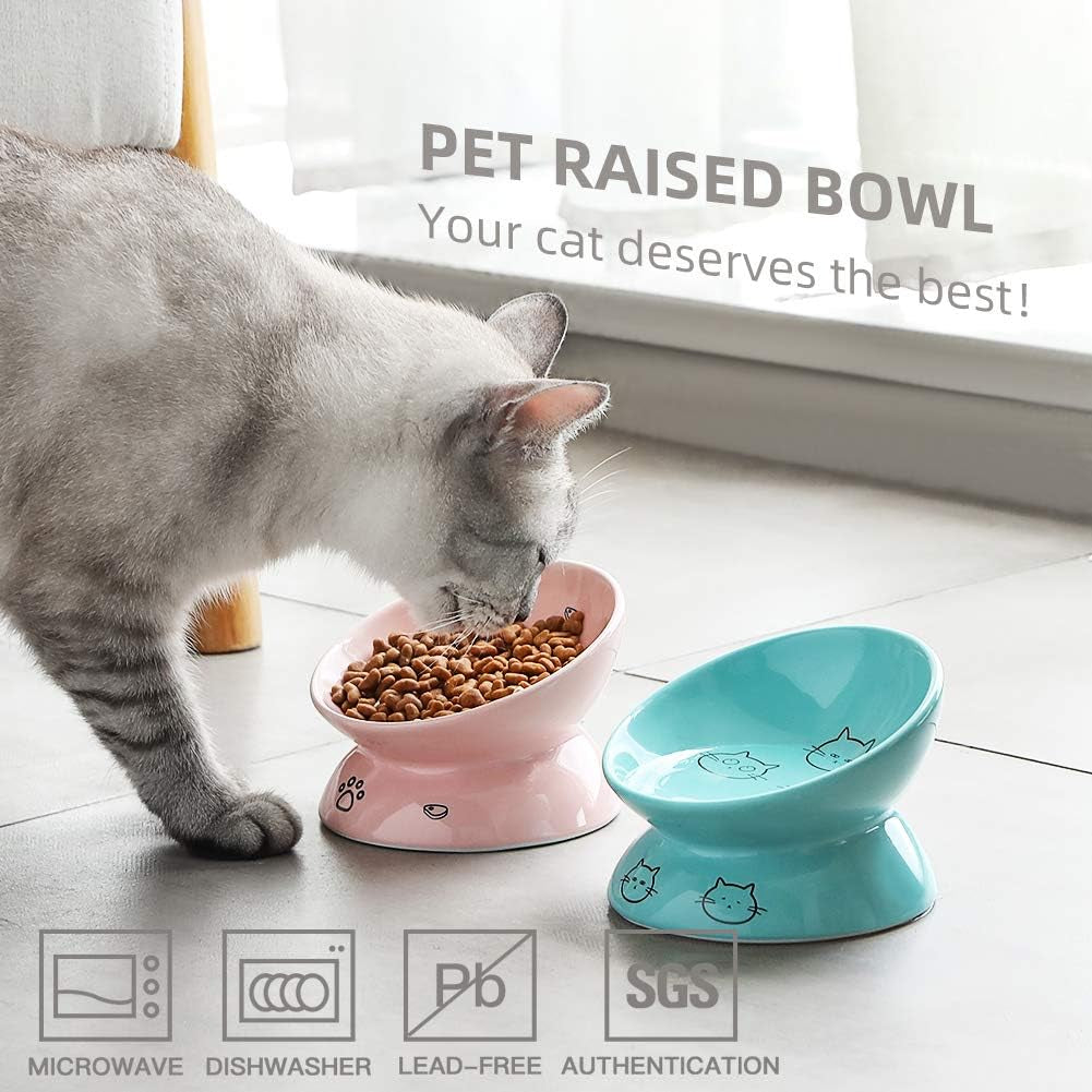 Elevated Ceramic Cat Bowl (Pink)