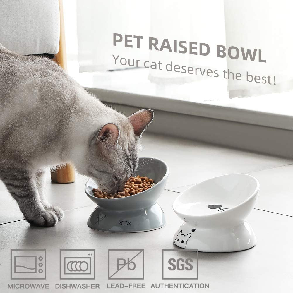 Elevated Ceramic Cat Bowl – Anti-Vomiting | Tilted Design | Grey