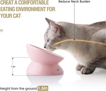 Elevated Ceramic Cat Bowl (Pink)